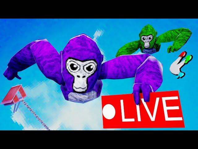 Fan Lobbies with TTT! | Gorilla Tag Livestream