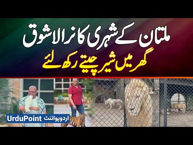 Multan Ke Shehri Ne Ghar Me Lions, Leopards & Expensive Animals Rakh Lie - Mini Zoo In Home Pakistan