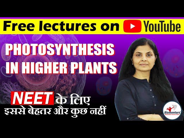 Photosynthesis in Higher Plants l Biology Free Lecture l Focus Batch l NEET