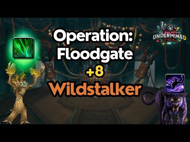 Hitting 2k Rating First Week BABY | FLOOD +8 | Resto Druid POV | WoW TWW 11.1 Undermined