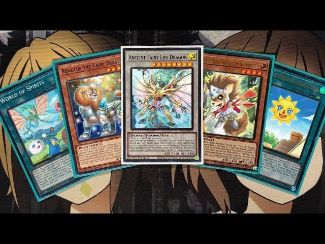 My Ancient Fairy Dragon Yugioh Deck Profile for Post Monster Mayhem