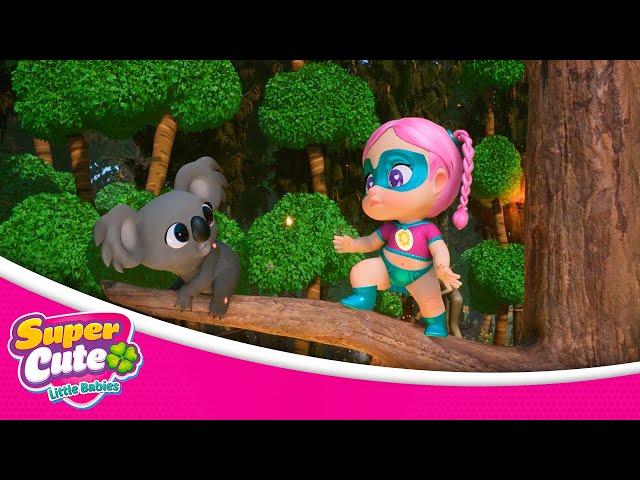 Episodio 02 - Una Casa Per Koala  Super Cute Little Babies ️  Il Cartone in ITALIANO