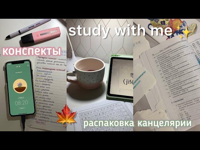 Study with me// конспекты, домашка, посылка с канцелярией