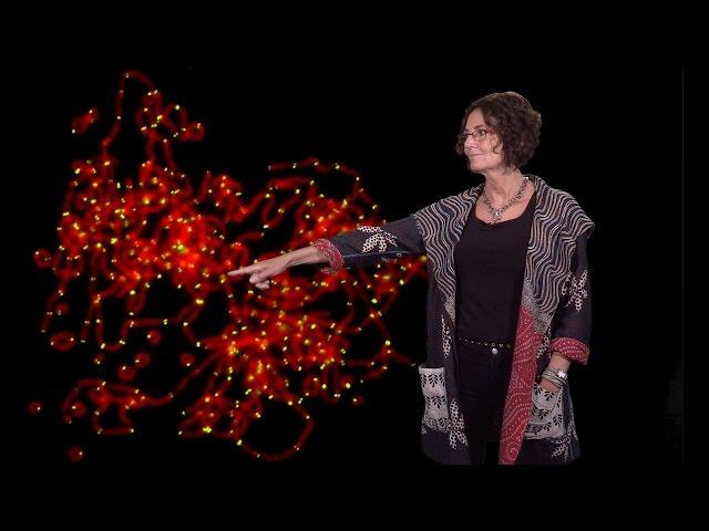 Titia de Lange (Rockefeller U.) 2: How telomeres solve the end-protection problem