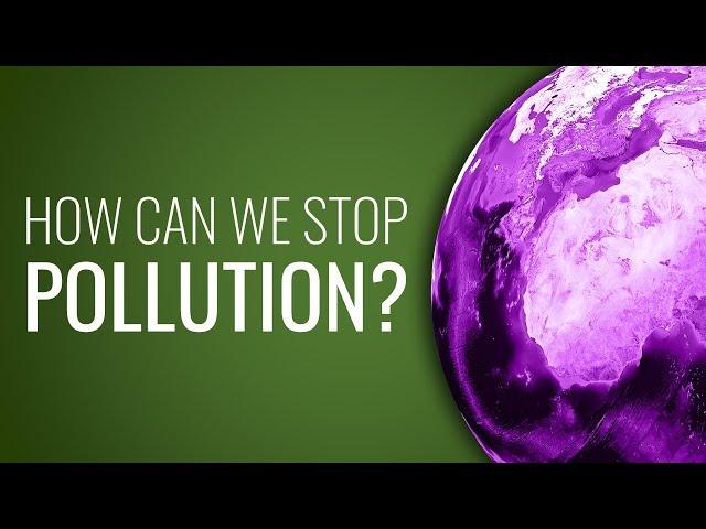 How Can We Stop Pollution?