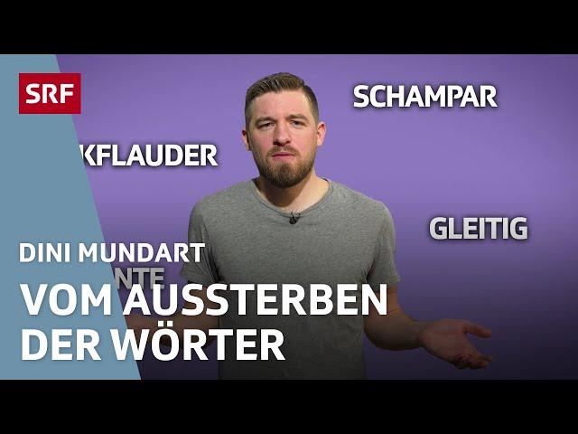 Schweizer Wortschatz in Gefahr – darum sterben alte Wörter aus | Dini Mundart | SRF Wissen