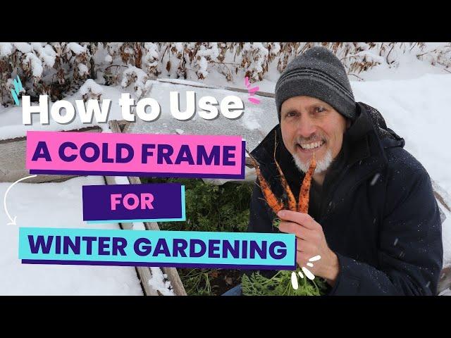 How to use a Cold Frame for Winter Gardening