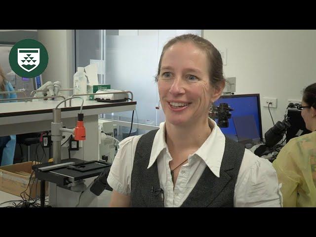 Dr Anne La Flamme talks MS and the immune system