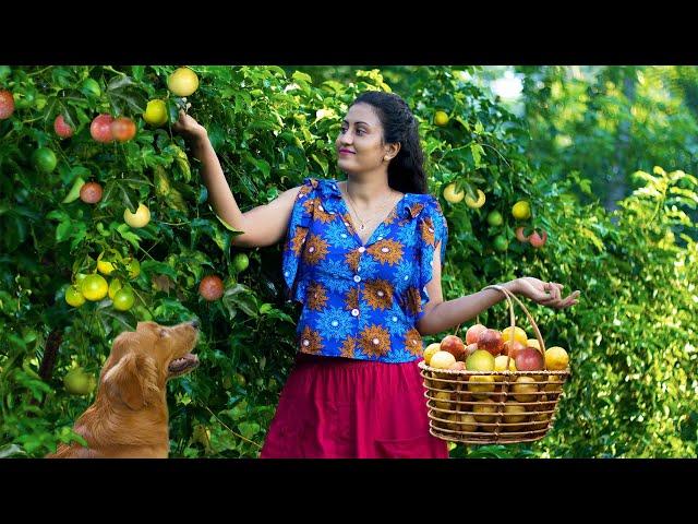 Lots of Passion fruits!!Sour or sweets?No matter.I made it in wonderful ways.|Poorna The nature girl