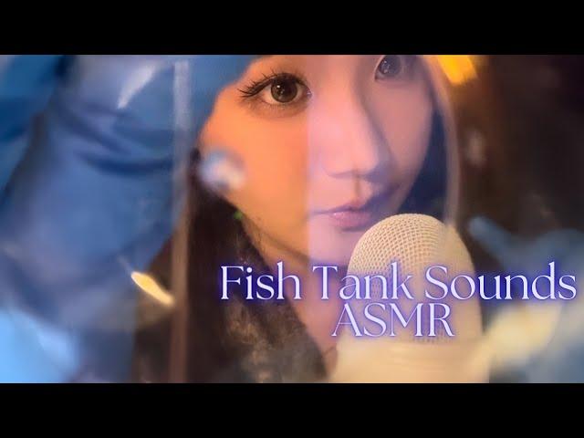 Focus Test ASMR | Relax & Sleep with Fish Tank Sounds