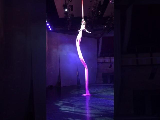 Полотна Цирк Circus Aerial silks Ekaterina Malysheva