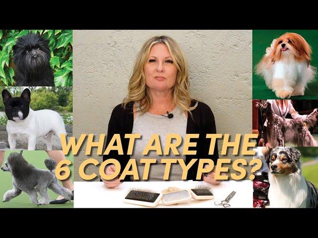 What Are The Six Coat Types?