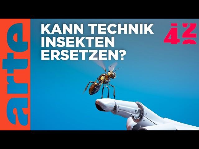 Können wir die Bestäuber ersetzen? | 42 - Die Antwort auf fast alles | ARTE