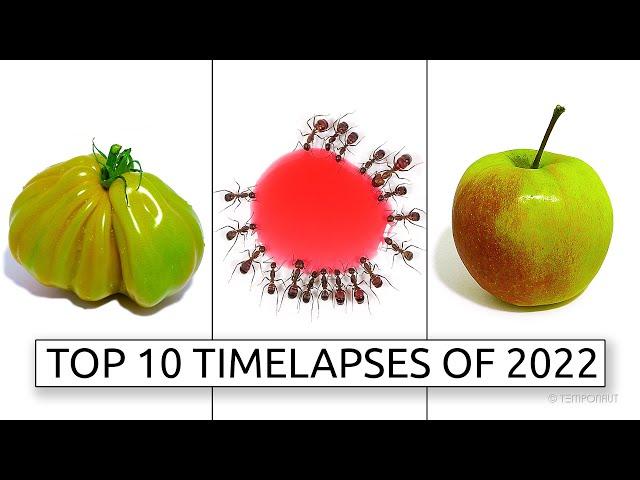 TEMPONAUT Top 10 Timelapses 2022