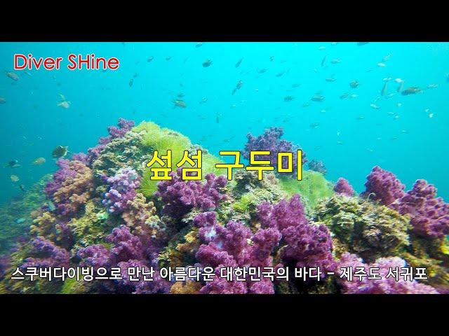 스쿠버다이빙으로 만난 아름다운 대한민국의 바다 - 제주도 서귀포 섶섬 '구두미' 포인트