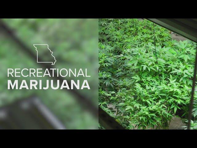 St. Louis County proposes changes to marijuana ordinances