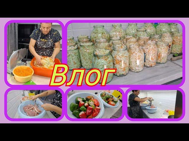 ХРОНИКА дня/МАРИНУЮ капусту-отличный РЕЦЕПТ/купили МНОГО МЯСА/перчик в заморозку/посол ГРУДИНКИ