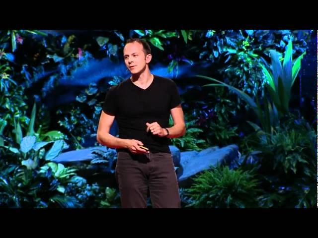 Tim Harford: Trial, error and the God complex