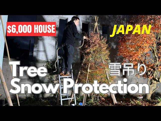 $6000 house in Japan: Protecting the garden in winter