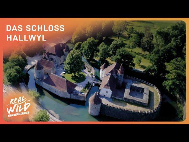 Das schönste Wasserschloss: Hallwyl | Doku | Real Wild Deutschland