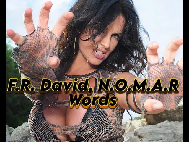 F.R. David, N.O.M.A.R - Words (Don't Come Easy) - cover by FR. David - N.O.M.A.R ( Remix ) - 2024