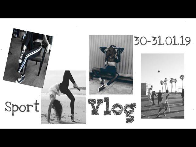 Vlog 30-31.01.2019