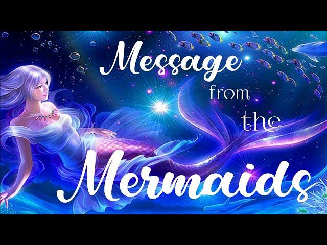 Messages From The Mermaids ‍️‍️ Pick A Card ‍️‍️ Timeless