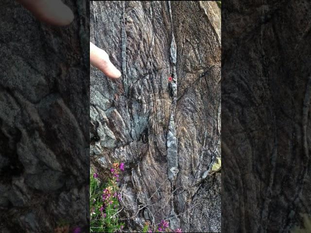 Rocks at Poldubh showing extreme folding and stretching