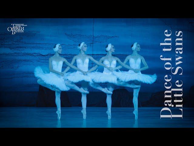 Танец маленьких лебедей / Dance of the Little Swans - 4K