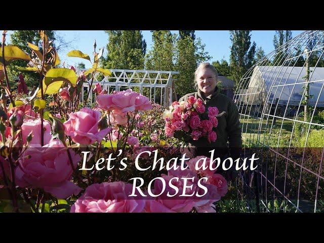 Let's Chat About ROSES| Our favorites & what sells best on our cut flower farm |vlog