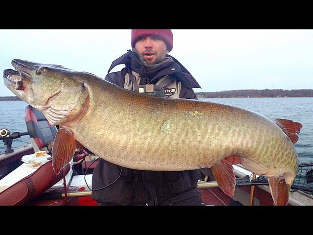 AMAZING 3 GIANT MUSKYS Bite Solo Fishing In November!!!