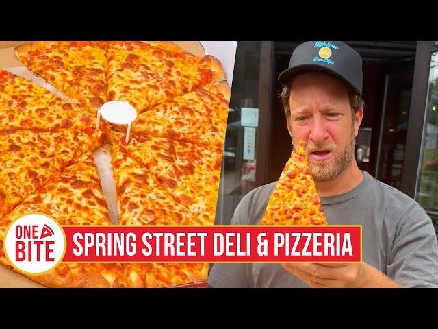 Barstool Pizza Review - Spring Street Deli & Pizzeria (Saratoga Springs, NY)