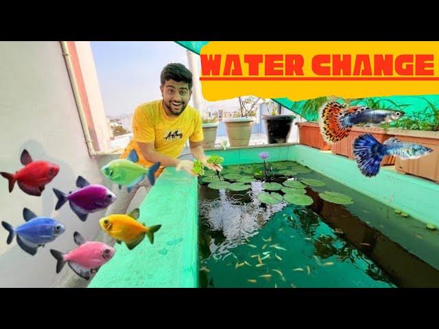 Finally fish pond ka water change ho gya #fishpetsvlog