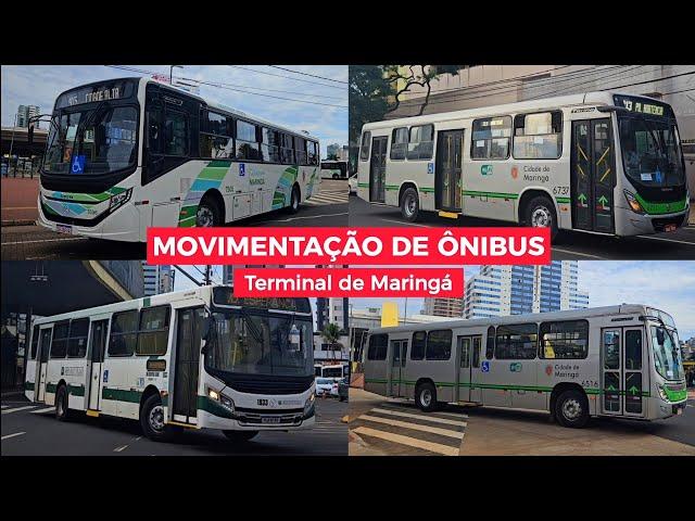 MOVIMENTAÇÃO de ÔNIBUS no TERMINAL de MARINGÁ