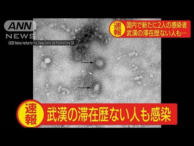 新型コロナウイルスの感染者　国内で新たに2人確認(20/01/28)