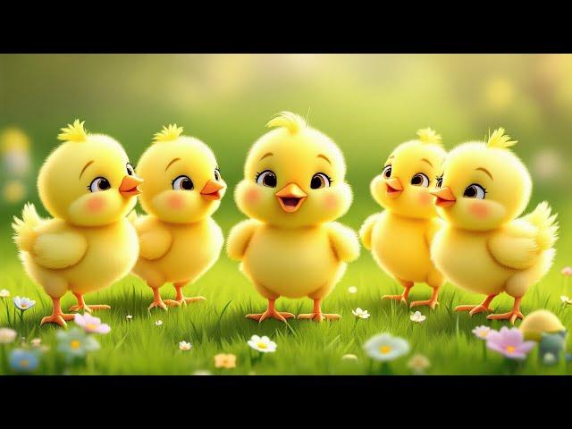 Đàn Gà Con Mới Nở  Ca Nhạc Thiếu Nhi Vui Nhộn  Một Chú Gà Con Như Cục Bông Tròn