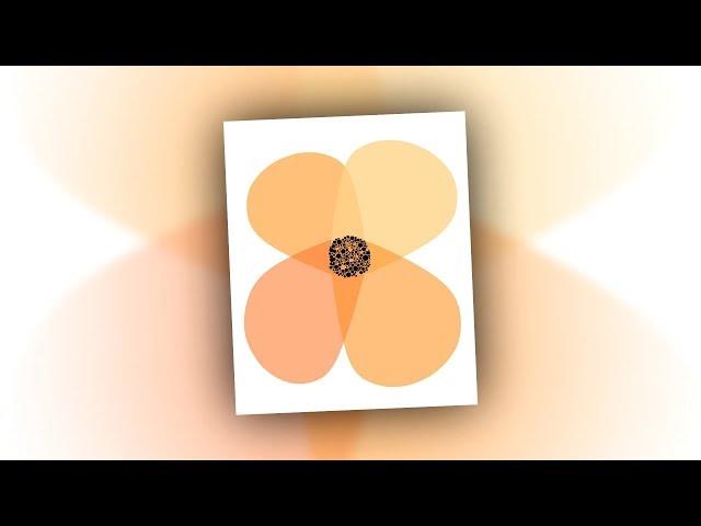 Peter Bainbridge - Flowers (Fine Art) | minimalism [less is more]