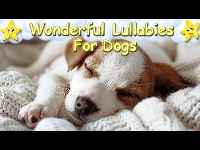 Magical Sleep Music For Dogs And Puppies  Relax Your Dog Within A Few Minutes