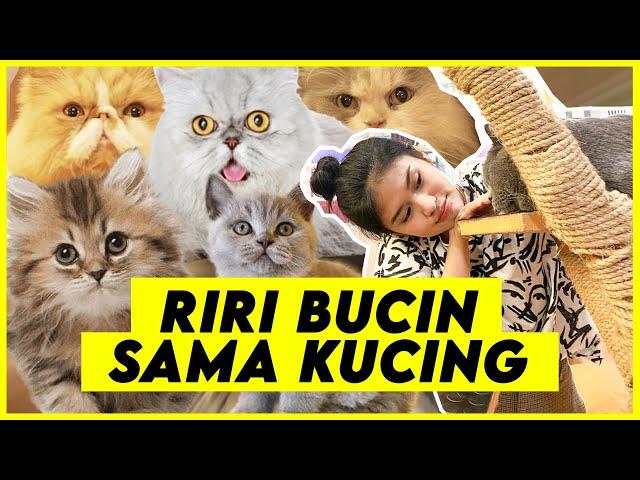 CITA - CITA RIRI PENGEN PUNYA SHELTER | RIRIMOEYA