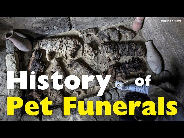 The Untold History of Pet Funerals