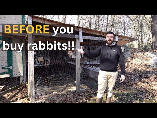 Everything You Should Consider BEFORE Raising Meat Rabbits