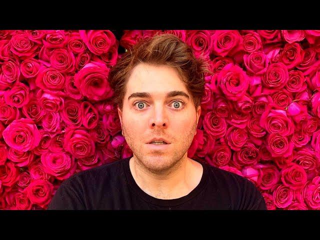 Shane Dawson's Trashfire Makeup Documentary