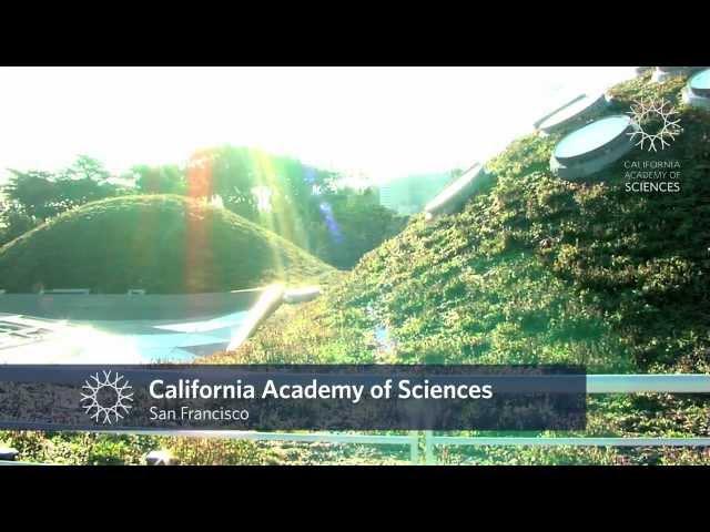 Travel to California Academy of Sciences