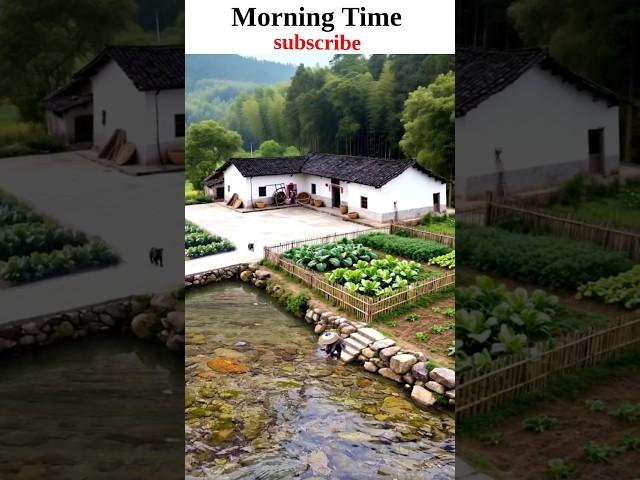 "Peaceful Morning in Desi village"| Desi morning shorts | #indianvillage #villagelife #gaav #shorts