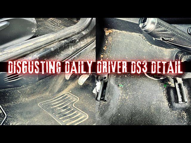 Disaster DS3 Interior Detail - Relaxing ASMR - Free Car Detailing Satisfying Shocking Transformation