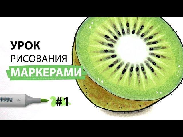 Урок по рисованию маркерами для новичков #1 / Рисуем киви