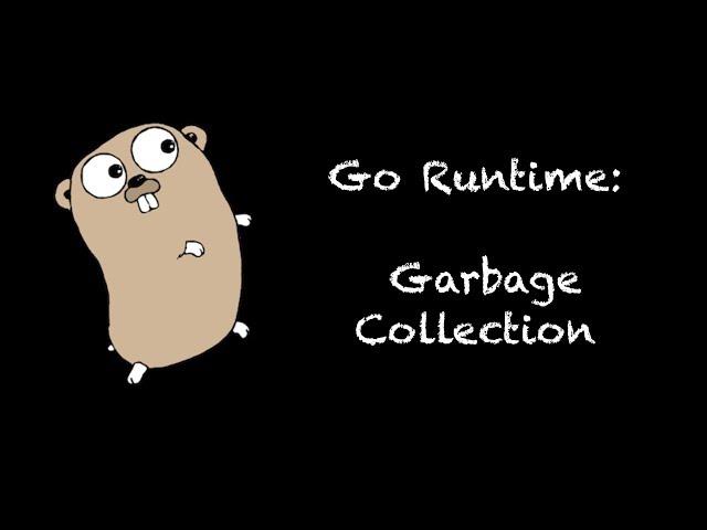 GSGI Go Runtime