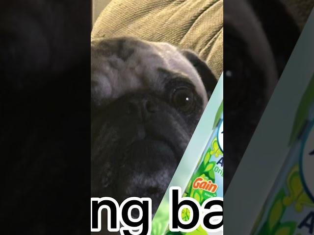 Sorry it doesn’t fit