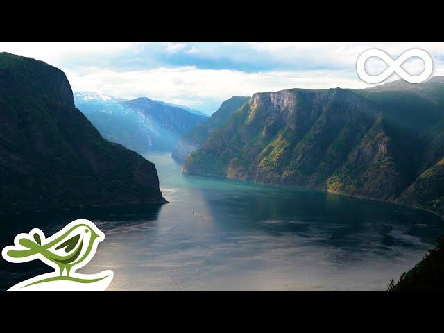 Wunderschöne Entspannungsmusik • Norwegische Natur und Geigen-, Flöten-, Klavier- und Harfenmusik