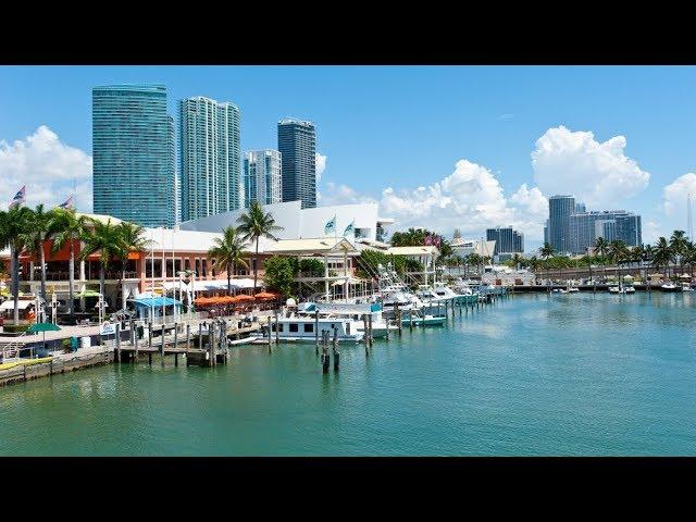 Experience a City Tour and Biscayne Bay Cruise in Miami, USA